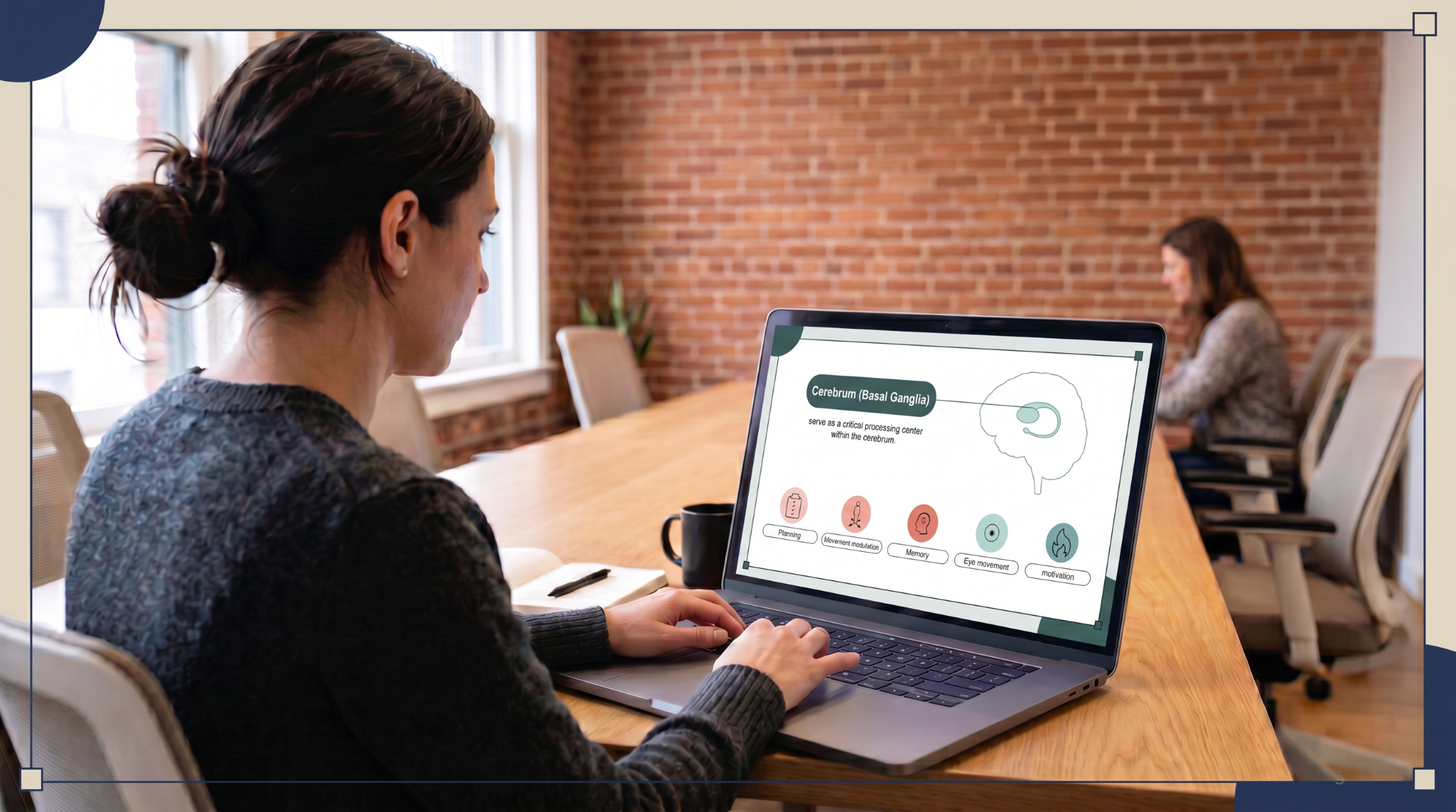 Healthcare professional viewing a basal ganglia anatomy slide from an editable CNS anatomy and physiology PowerPoint template on a laptop.