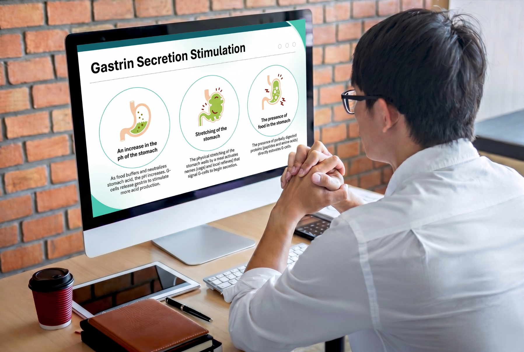 Healthcare learner reviewing gastrin secretion mechanisms using an editable Peptic Ulcer Disease PowerPoint Template on a desktop computer.