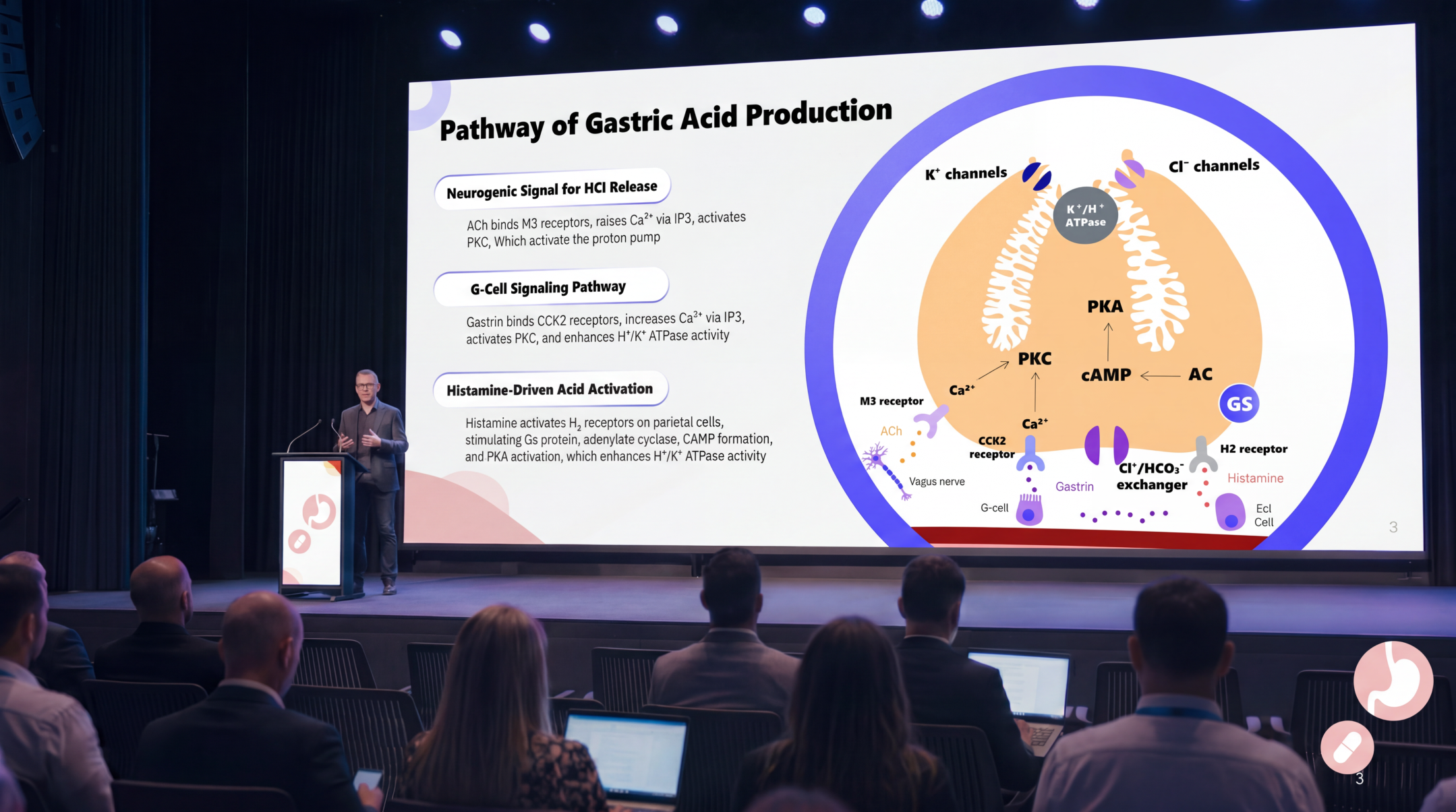Medical presenter explaining gastric acid production and ranitidine mechanism of action using an editable Ranitidine PowerPoint Template during a healthcare conference.