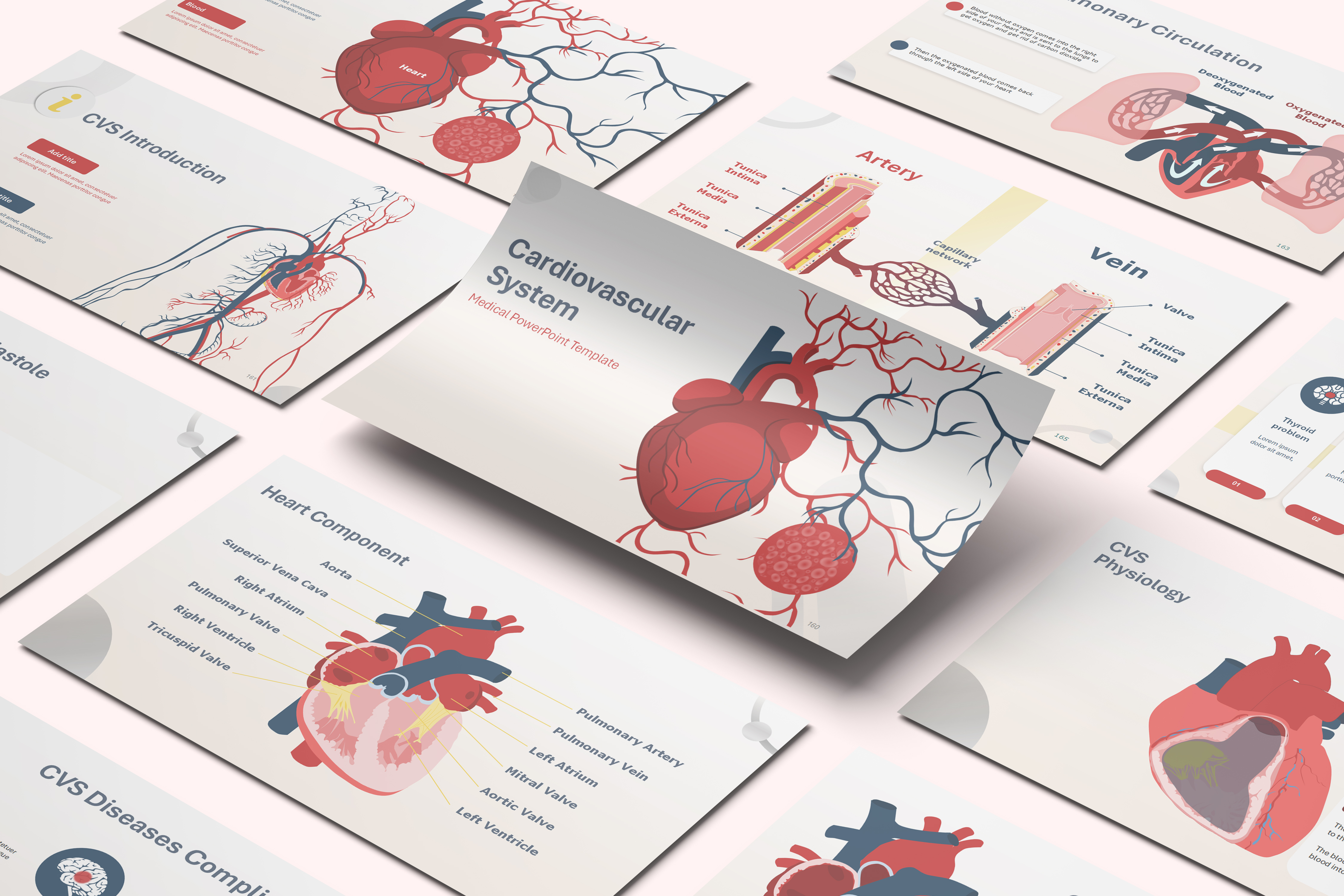 Cardiovascular System Anatomy & Physiology PowerPoint Template
