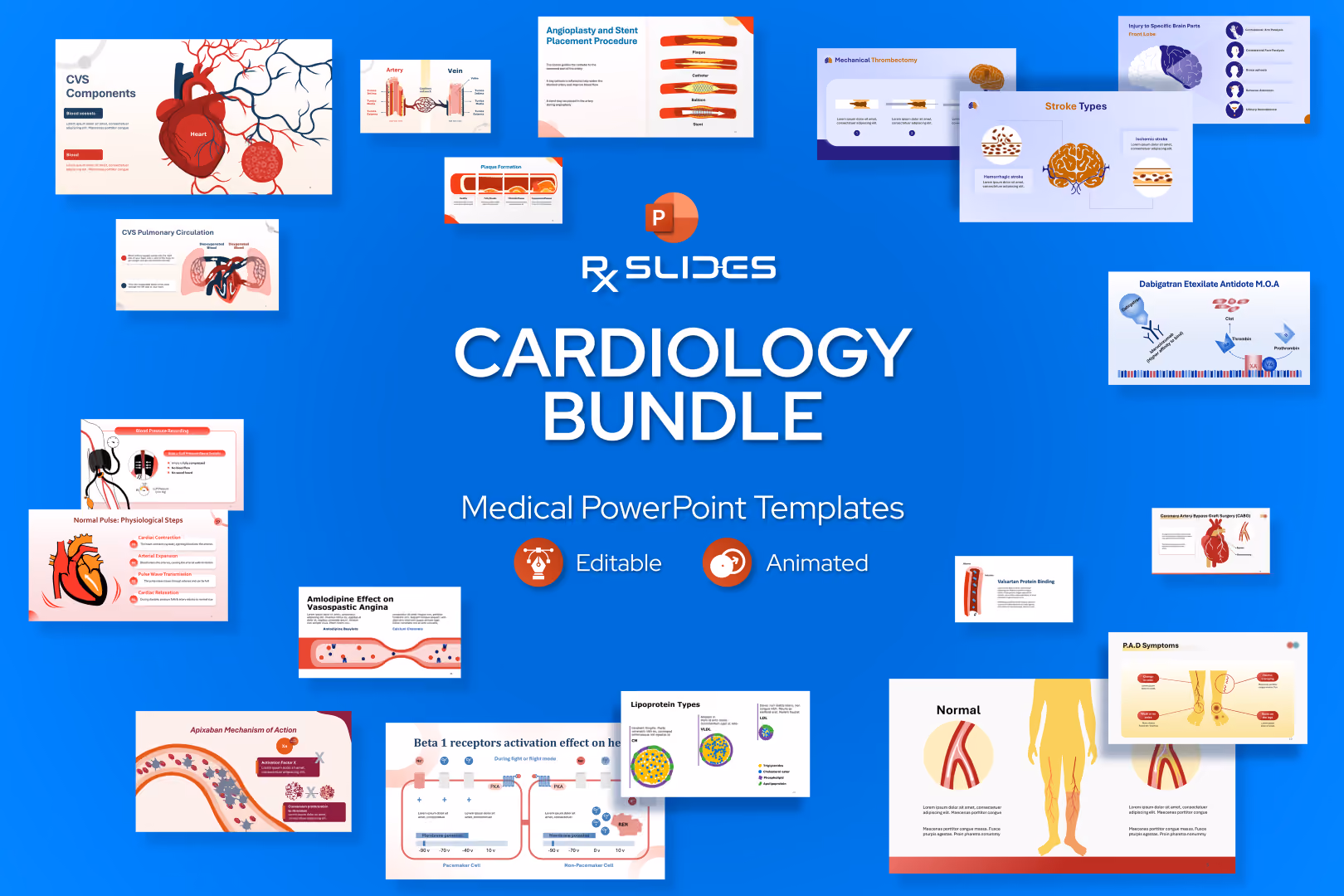 Cardiology PowerPoint Templates Bundle