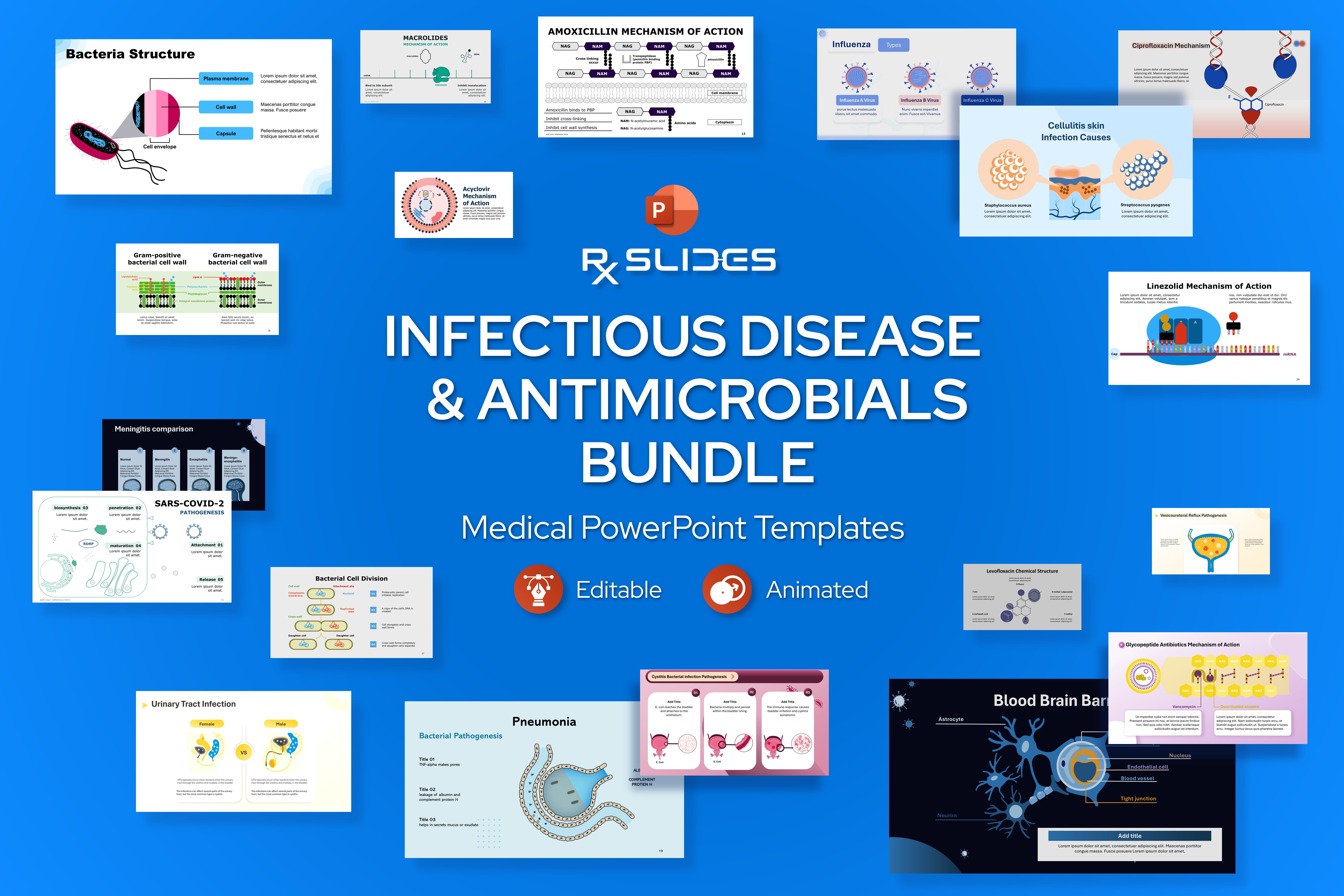 Infection Diseases Antimicrobials PowerPoint bundle