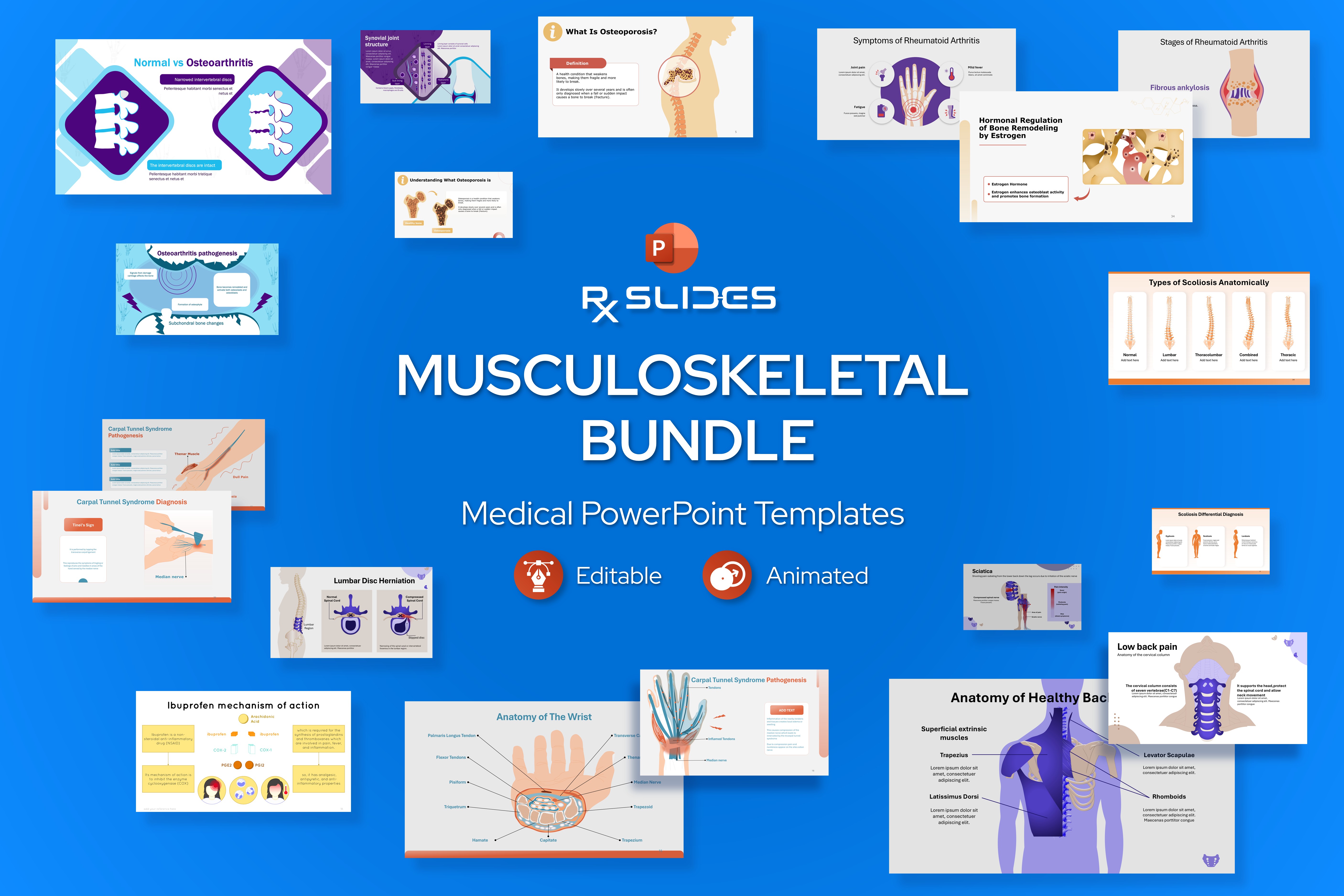 Musculoskeletal PowerPoint Templates Bundle