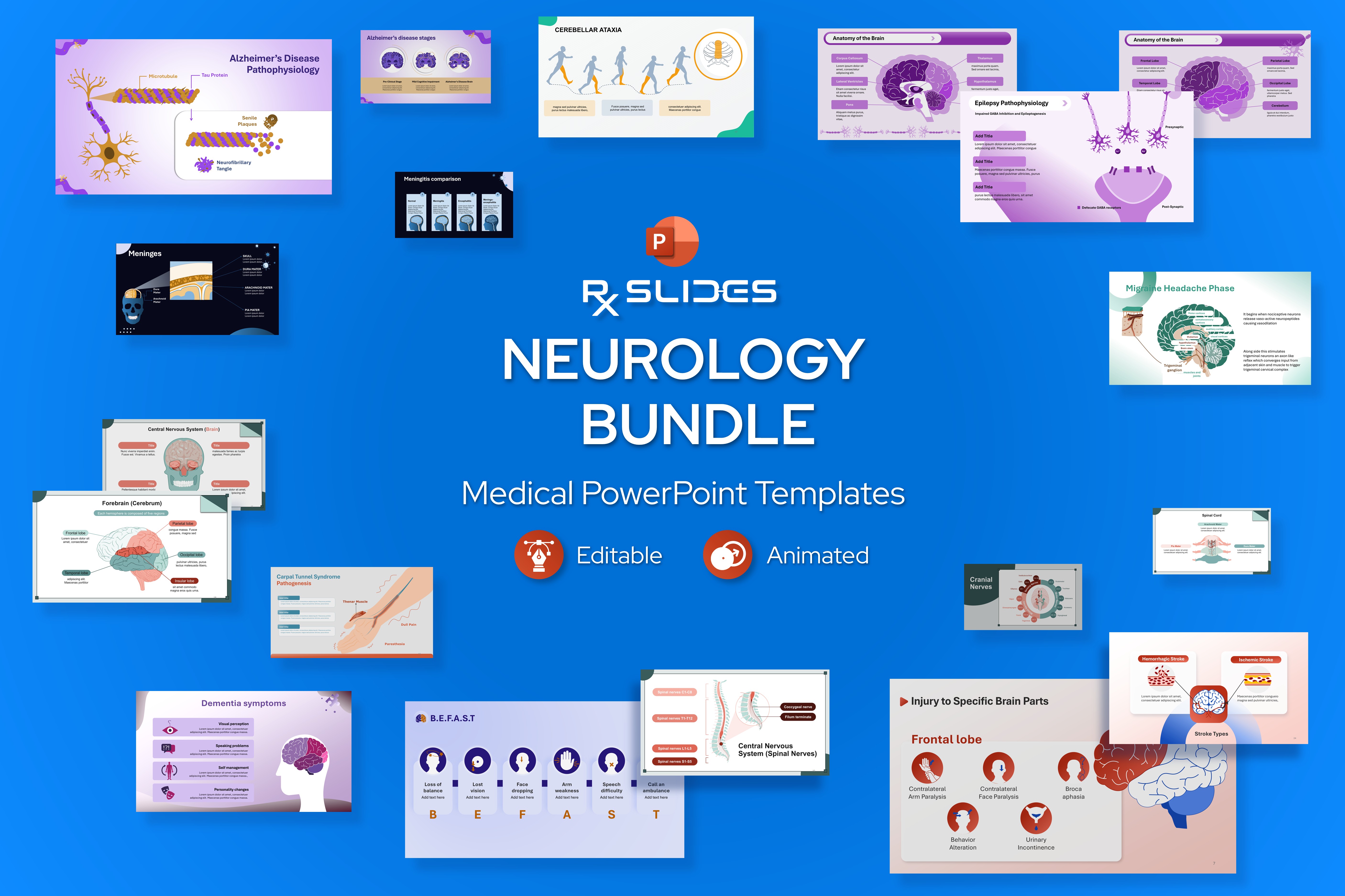 Neurology PowerPoint Templates Bundle