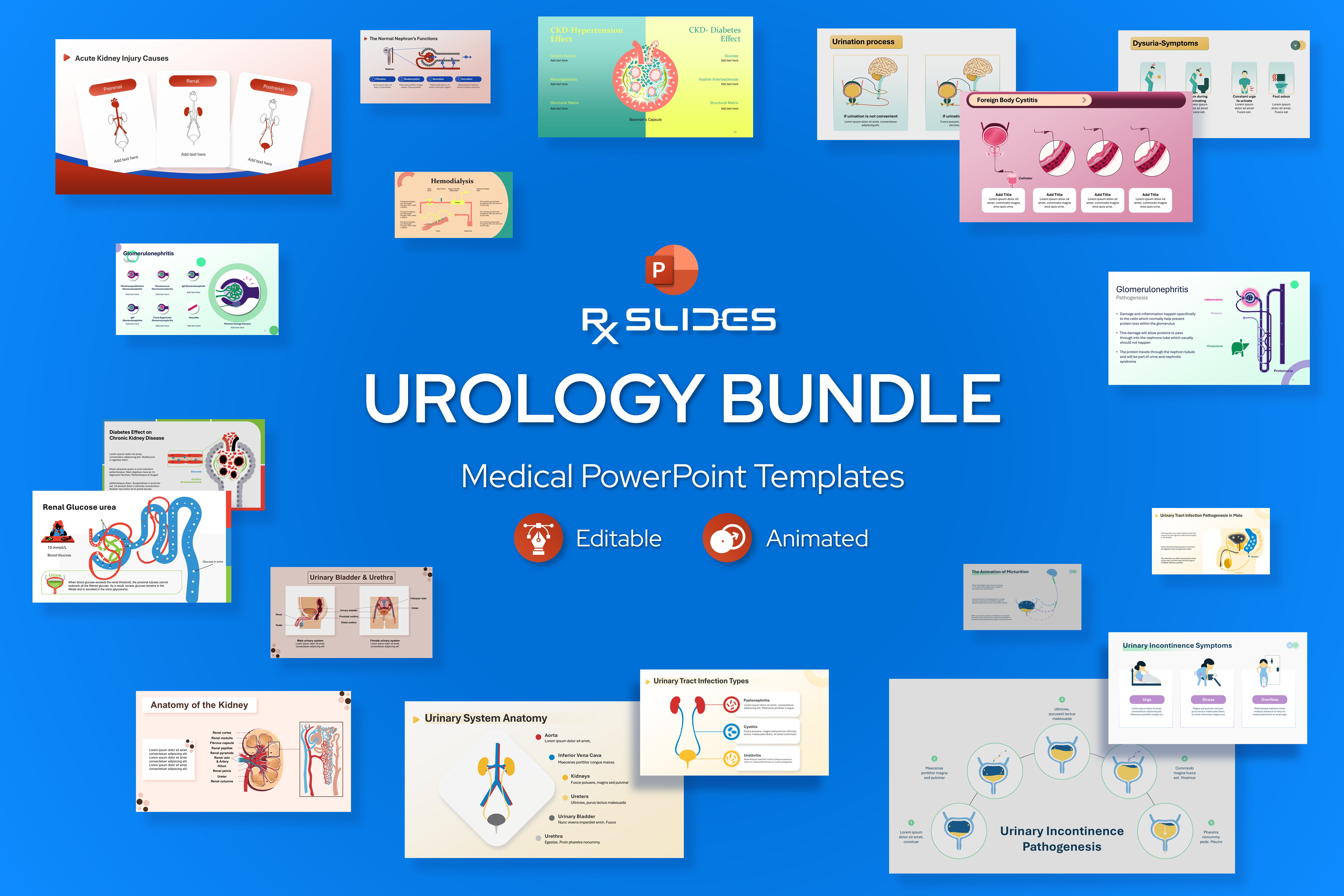 Urology PowerPoint Template Bundle