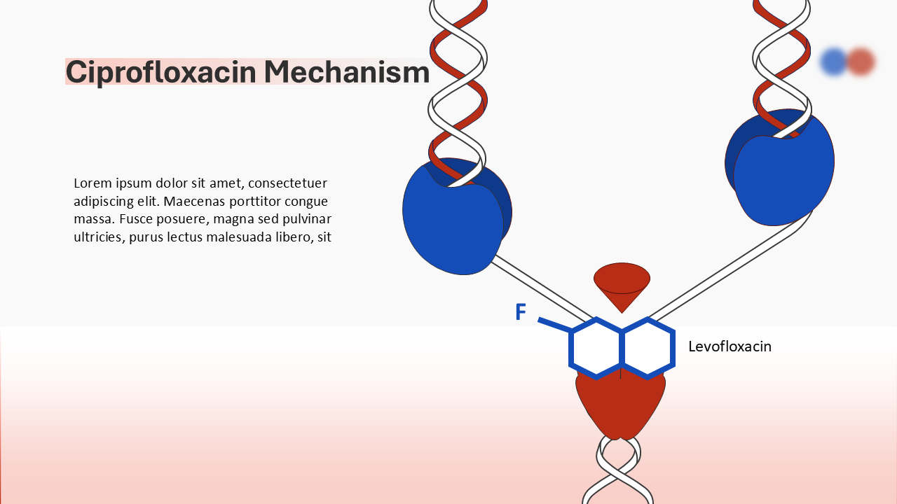 Anatomy models PowerPoint Template
