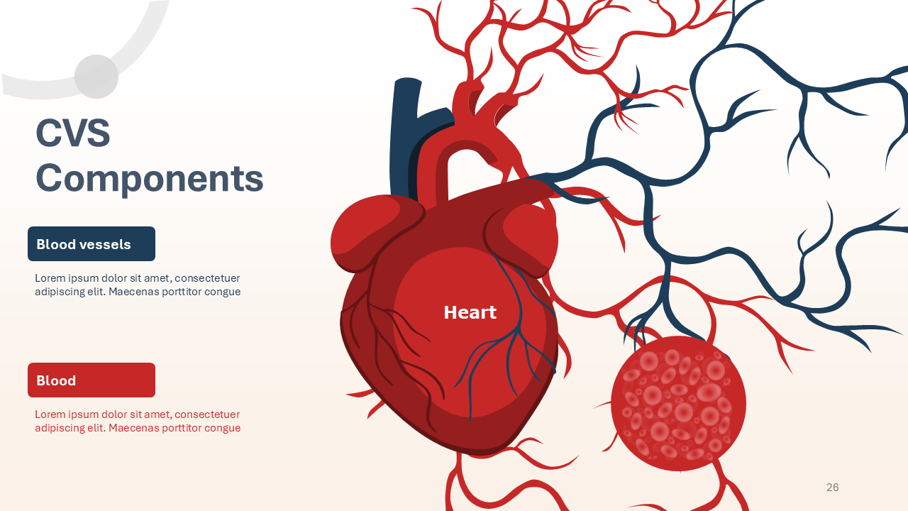 Anatomy model PowerPoint templates