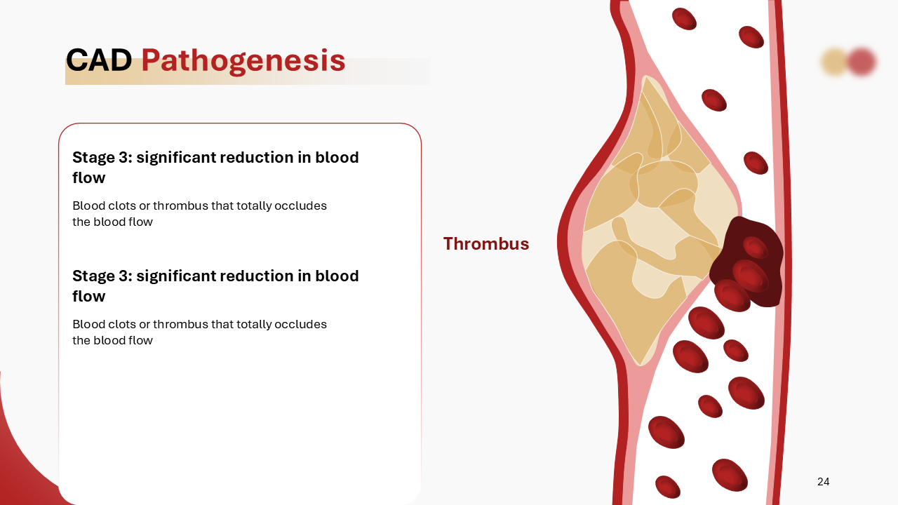 Anatomy models PowerPoint Template