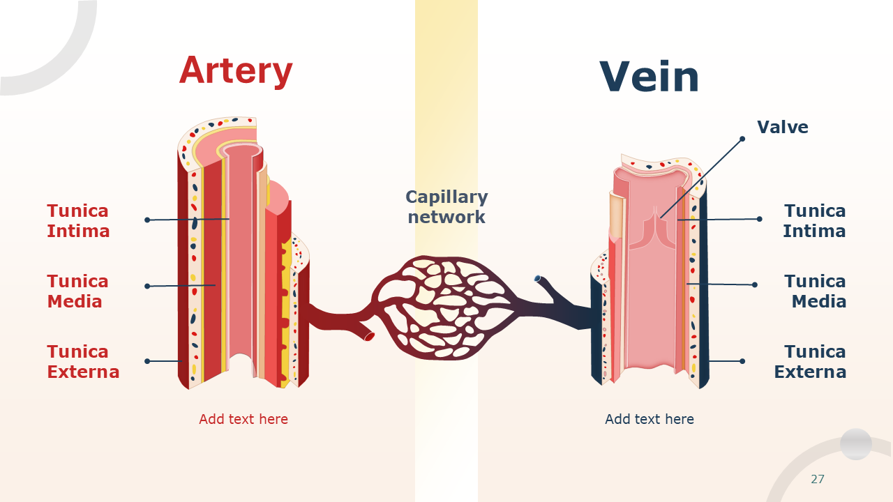 Signs and Symptoms PowerPoint Templates