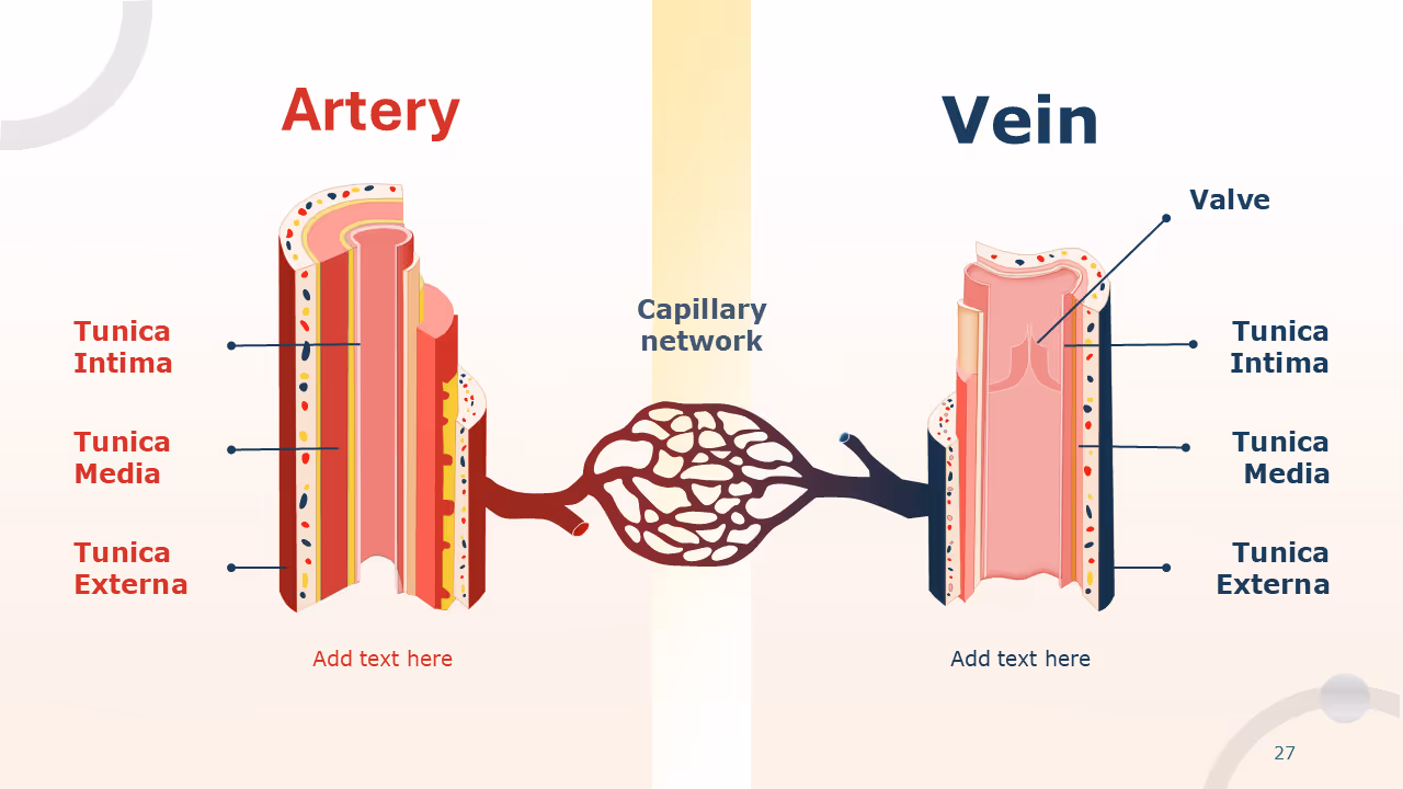 Signs and Symptoms PowerPoint Templates