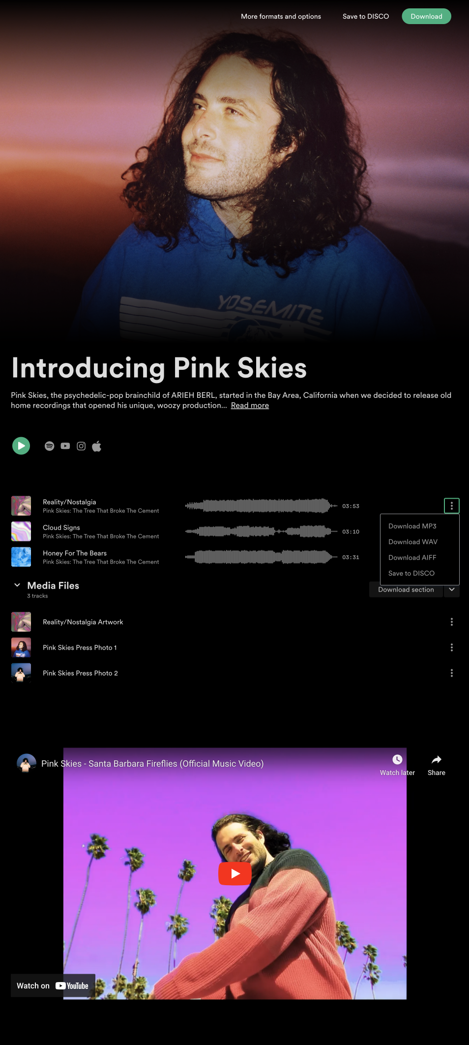 A DISCO Artist Page featuring a band called Pink Skies
