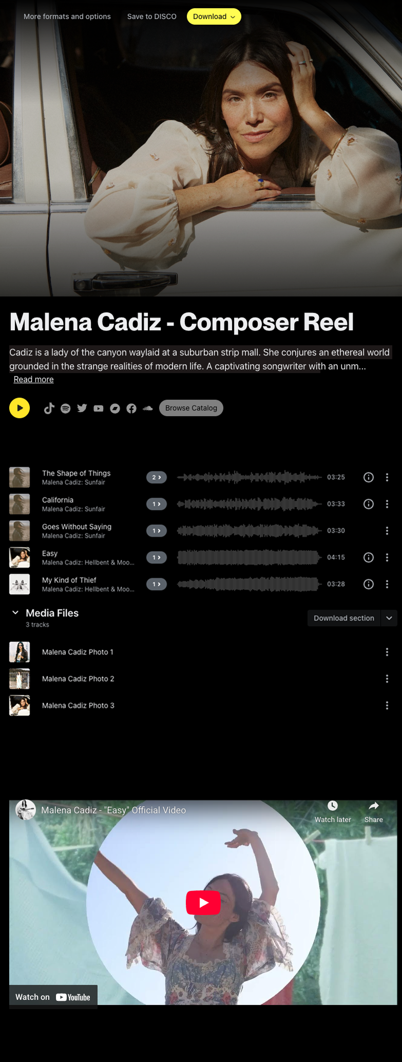 DISCO Artist Page Design