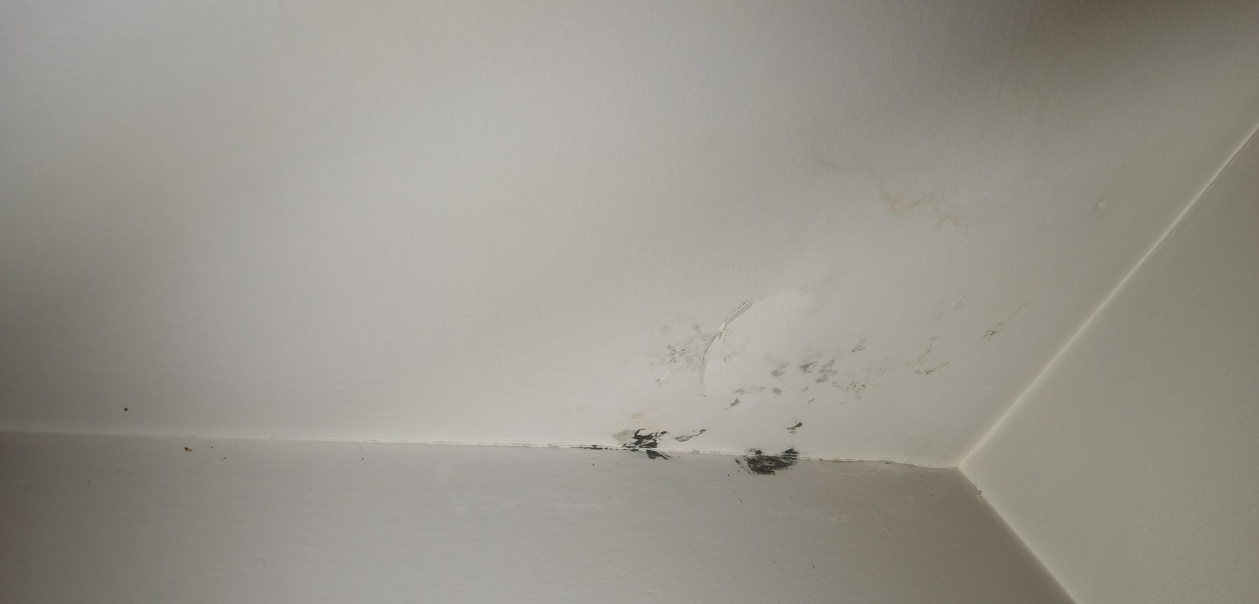 Mold spotting along a ceiling and wall joint in a rental unit