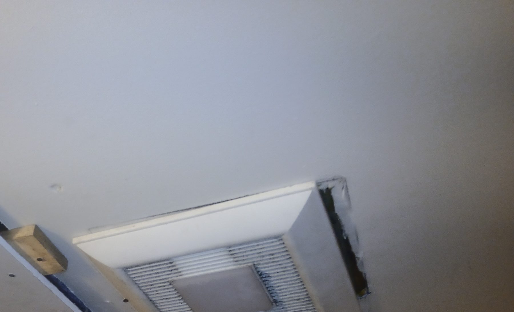 Ceiling access panel and vent during a mold inspection