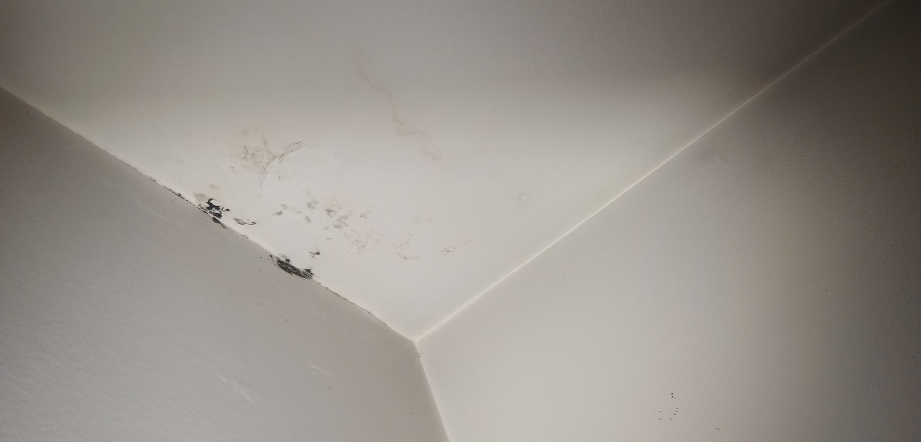 Mold growth in the corner where a wall meets the ceiling