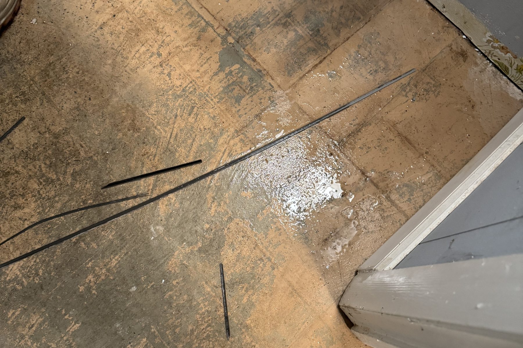 Stained subfloor exposed after water damage