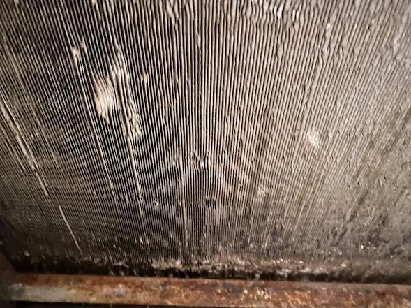 Mold on an air conditioning coil
