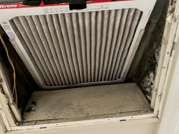 Mold around an air handler filter