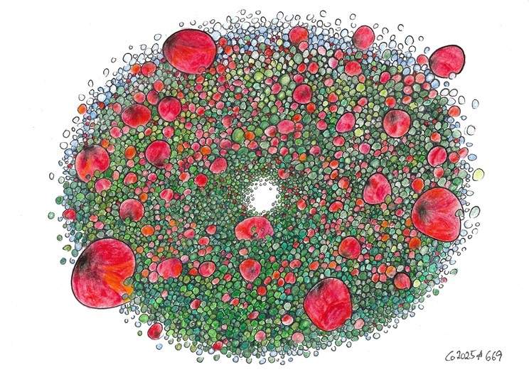 Mohnblumen