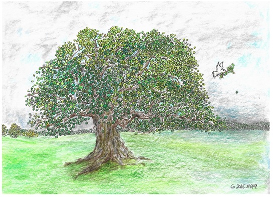 Kringelbaum mit Taube
