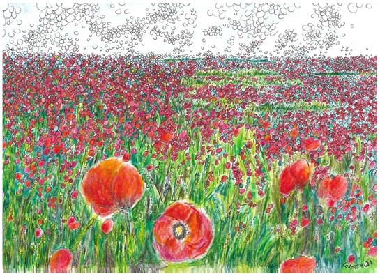 Mohnblumen