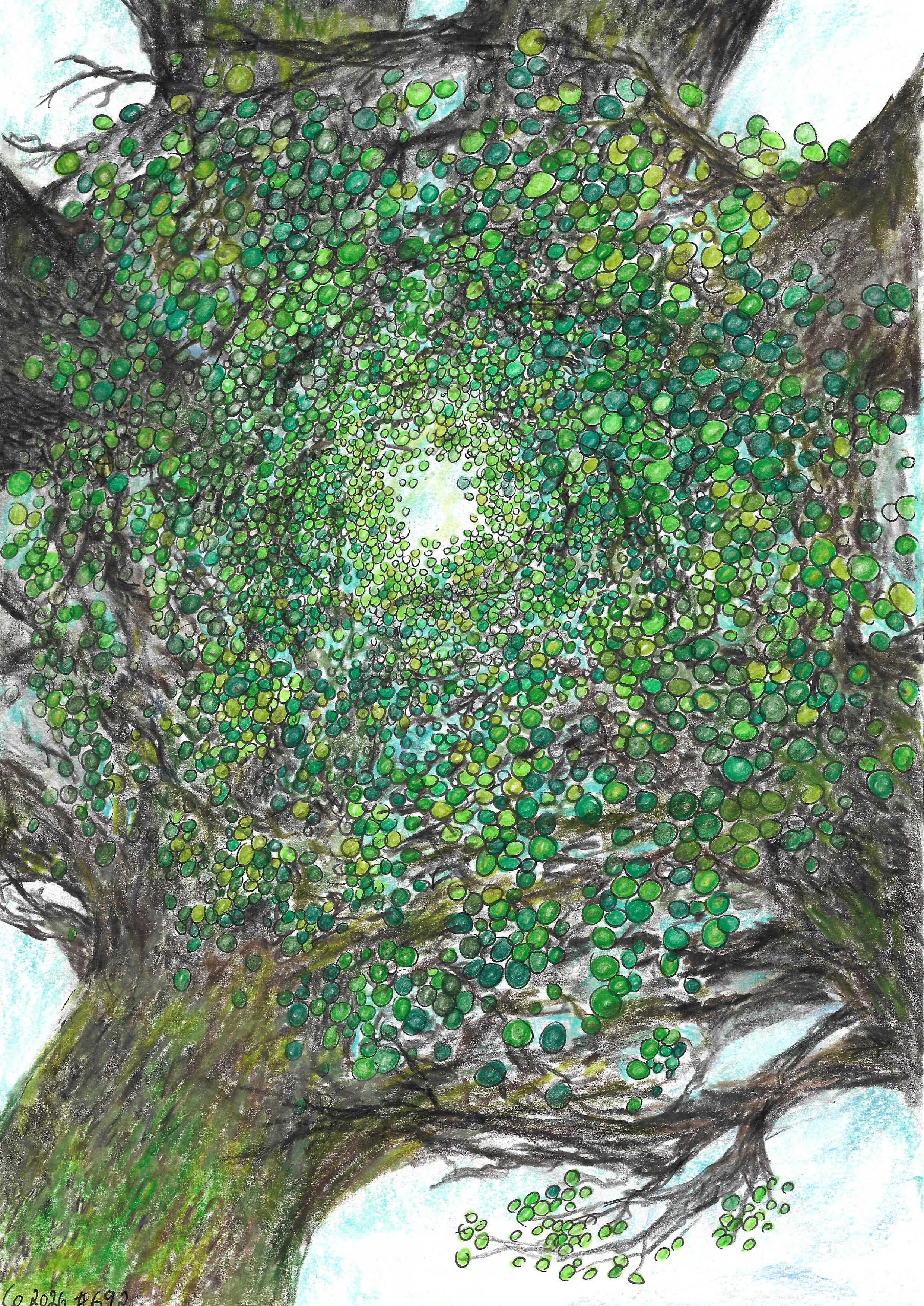 Looking Up