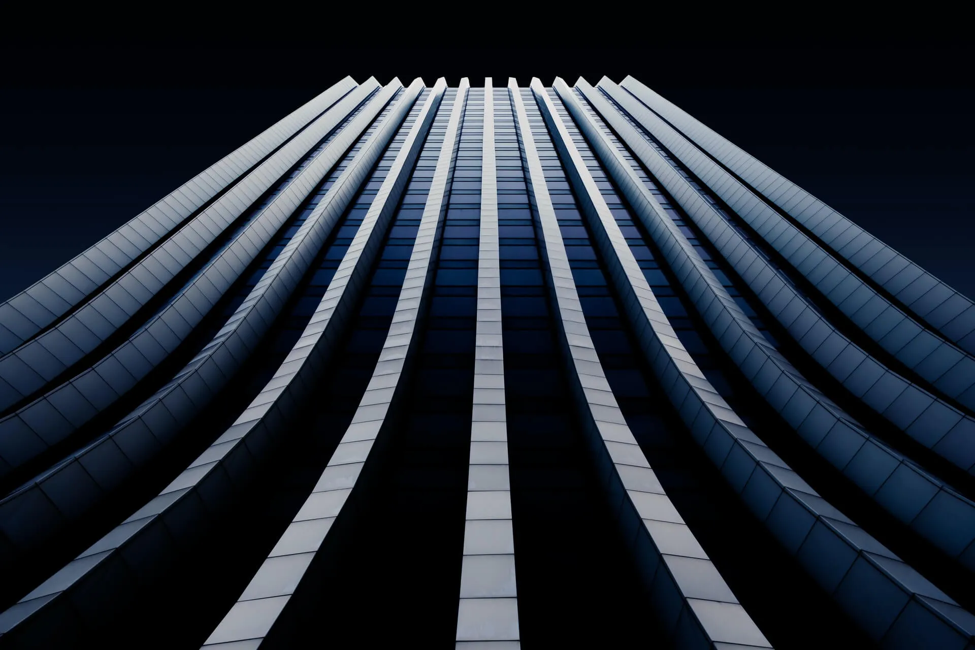 Koch - Finance Webflow template image