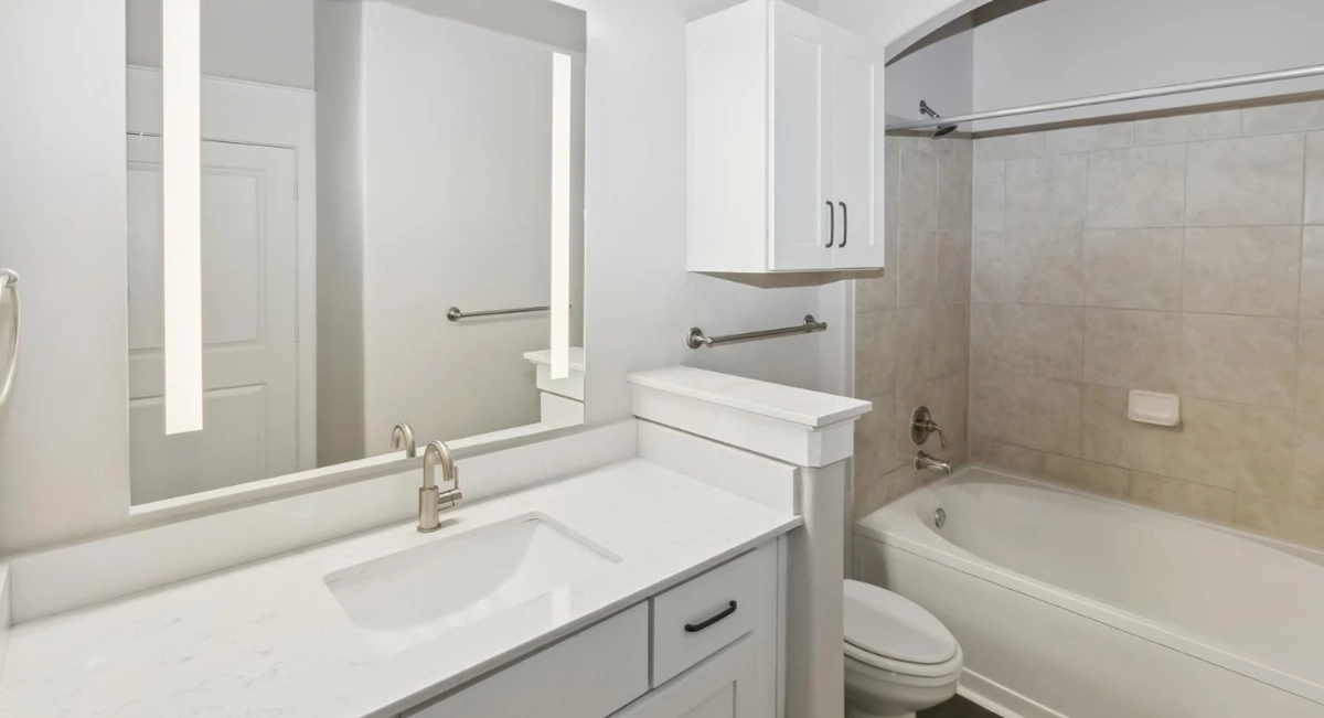 Shoreline On Lake Carolyn