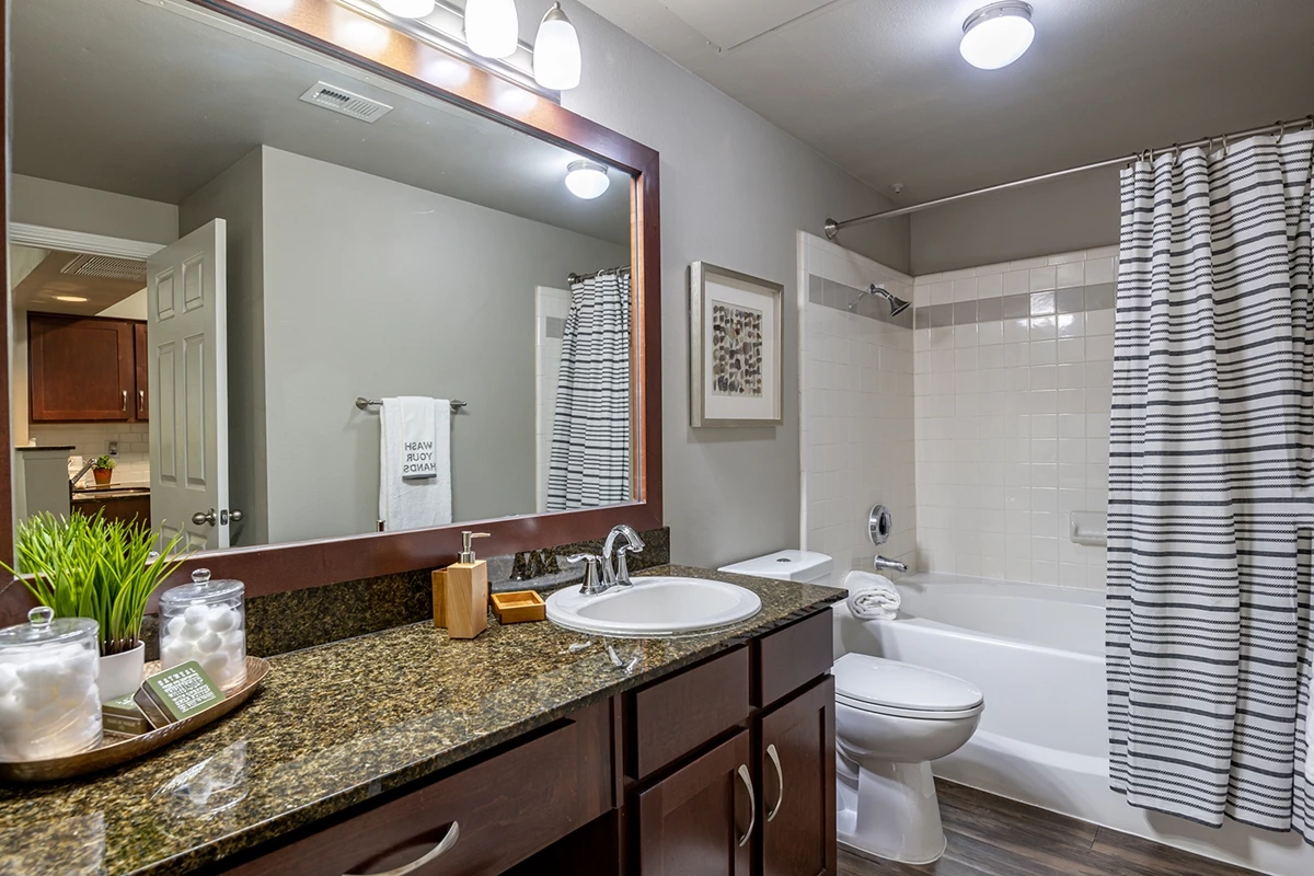 Arrive on University