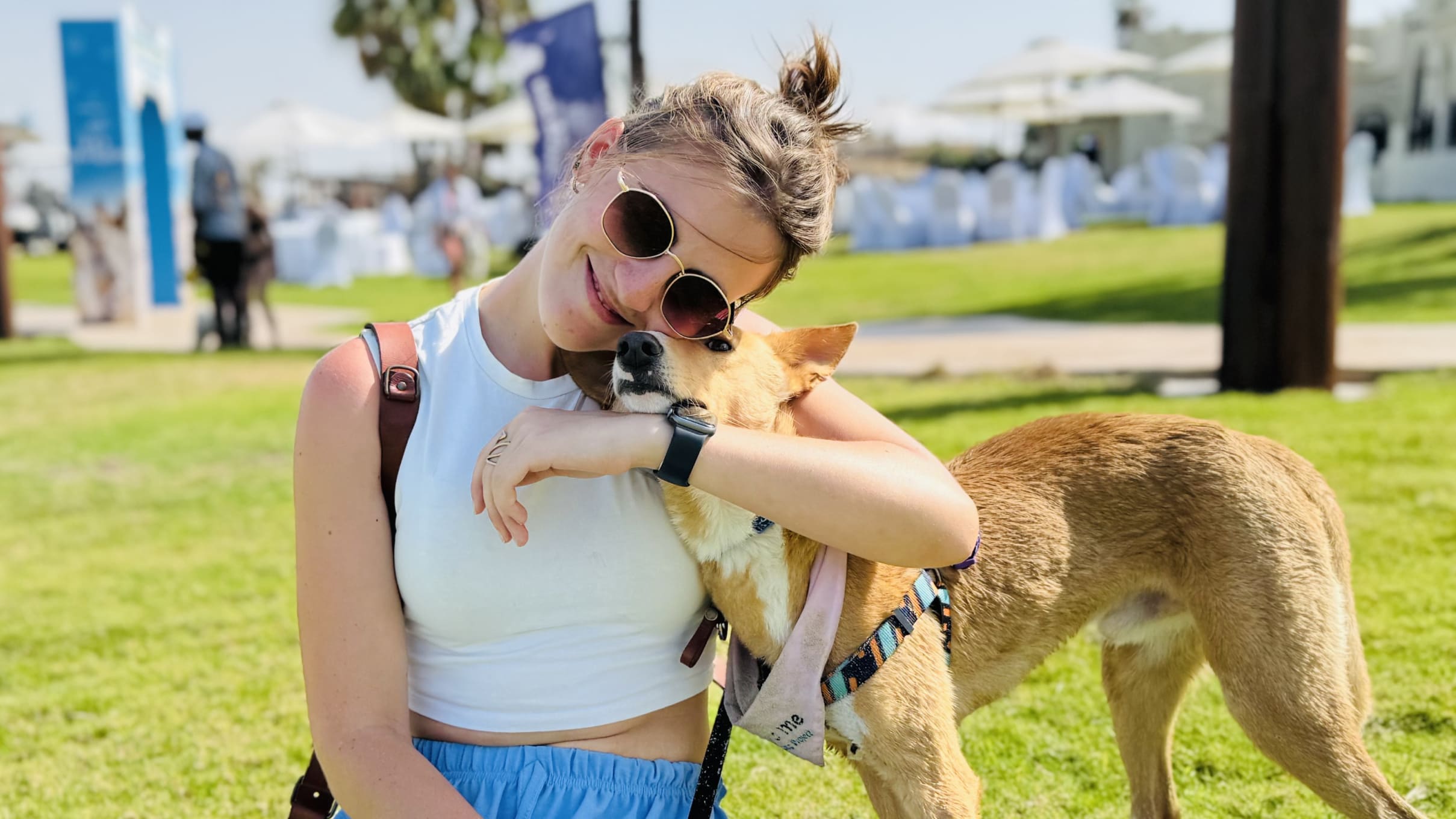 Do Dogs Really Love Us? What Science Says About Your Pup’s Heart