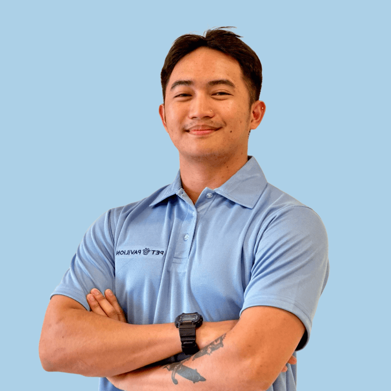 The Top 10 Common Health Issues in Pet Birds: A Guide for Bird Owners