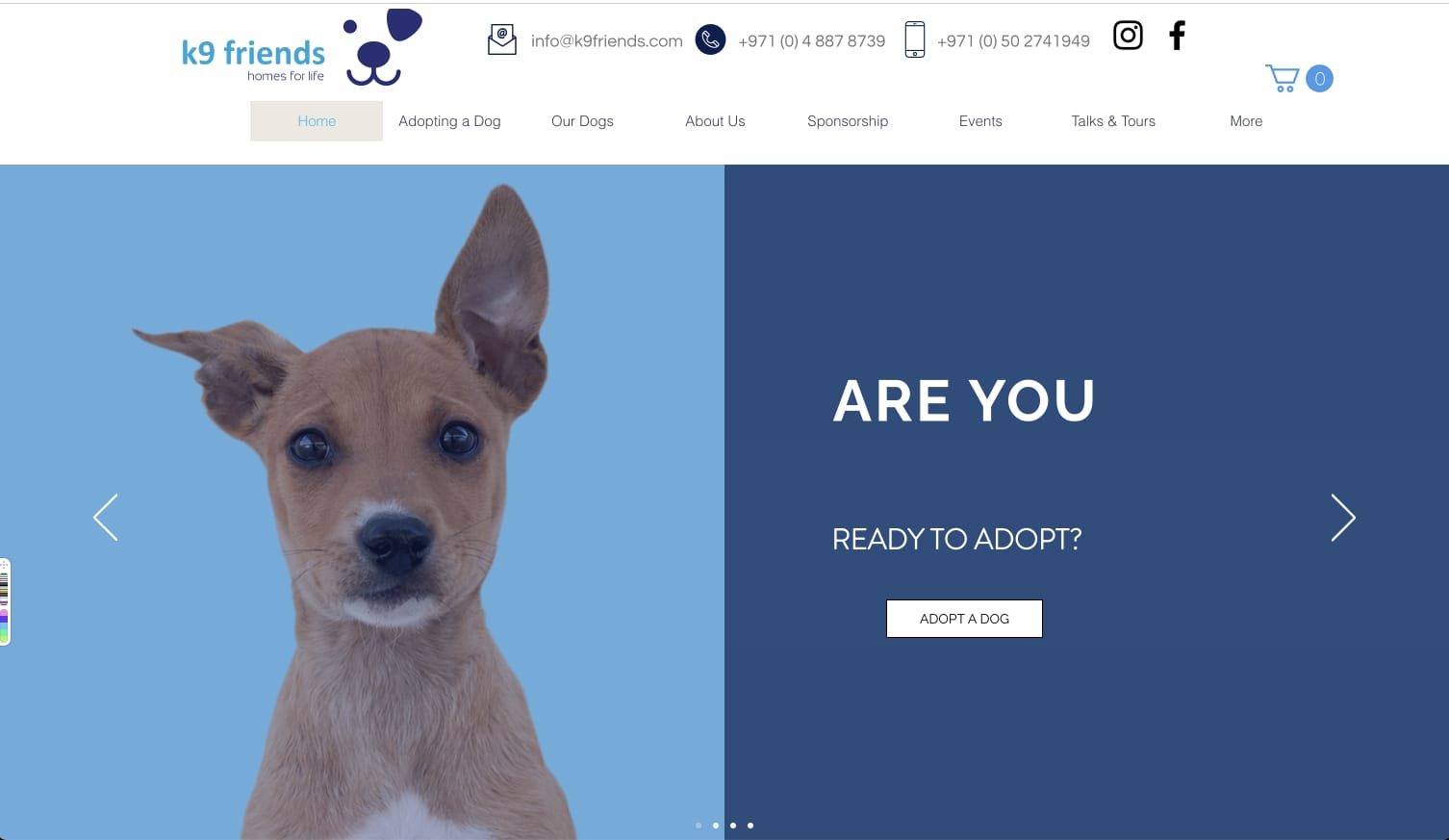 K9 Friends website screenshot