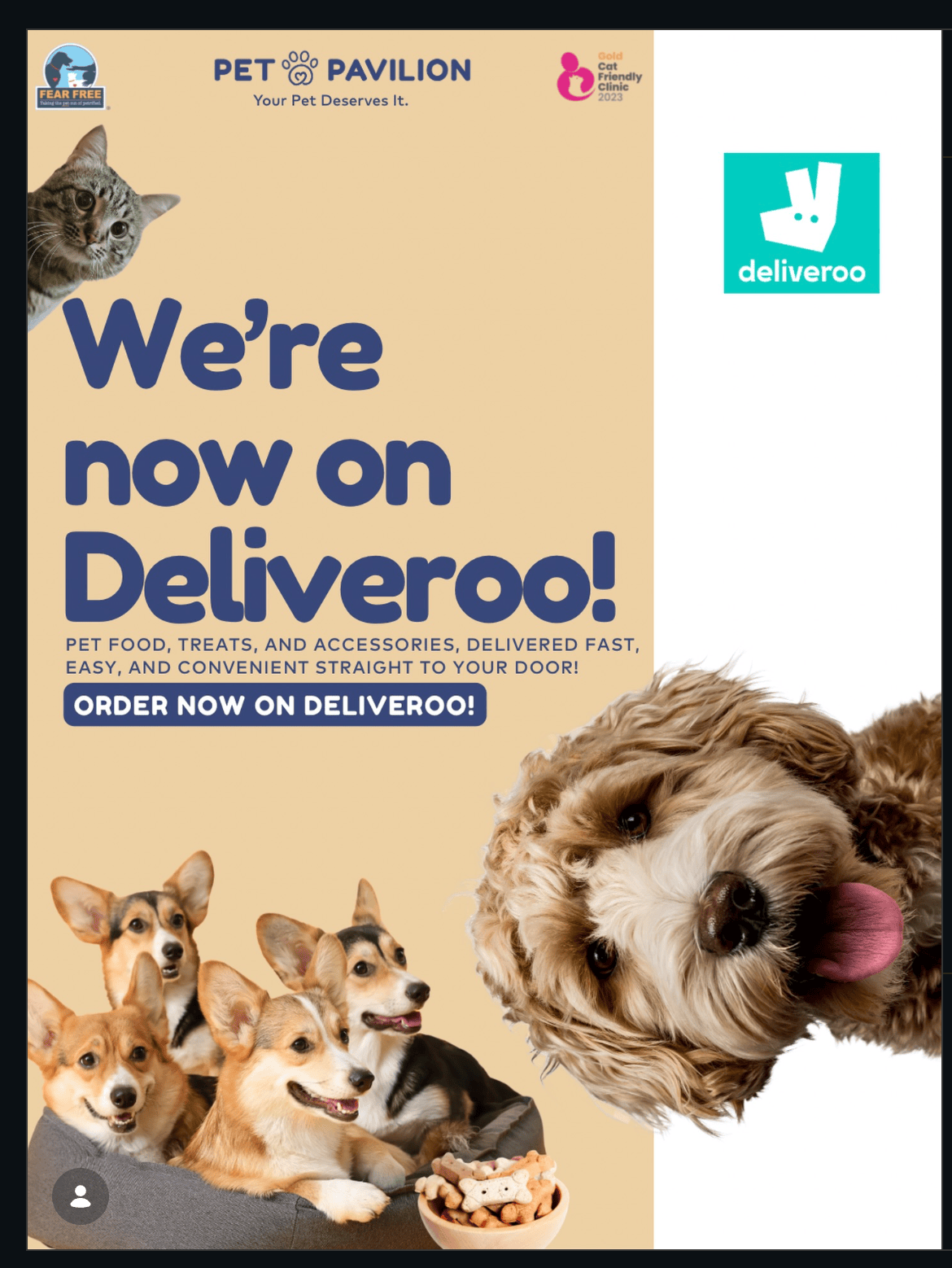 Big News: Pet Pavilion is Now on Deliveroo! 🛵🐾