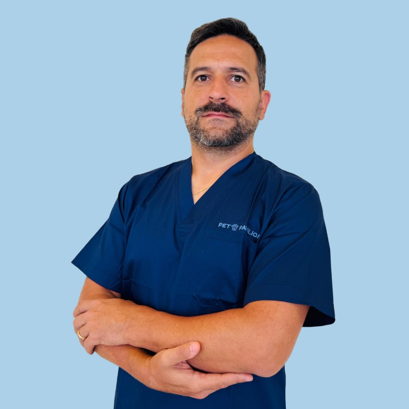 Dr. Leonardo Cortez Peixoto