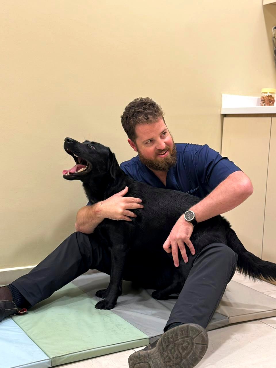 Pet Pavilion physiotherapy specialist with a black Labrador