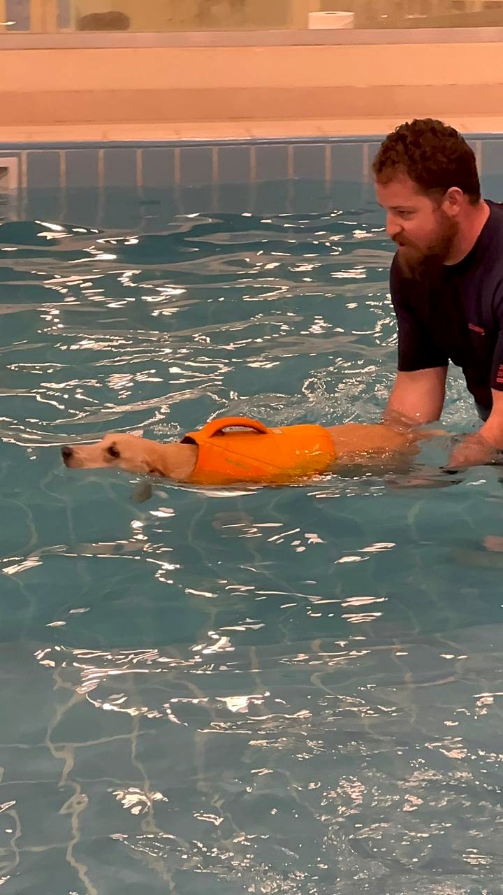 Dog hydrotherapy swimming session at Pet Pavilion