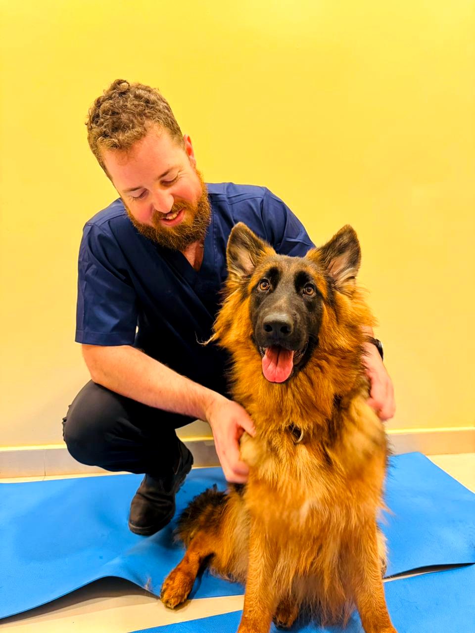 Mr. EB, Physiotherapy Specialist, with a German Shepherd