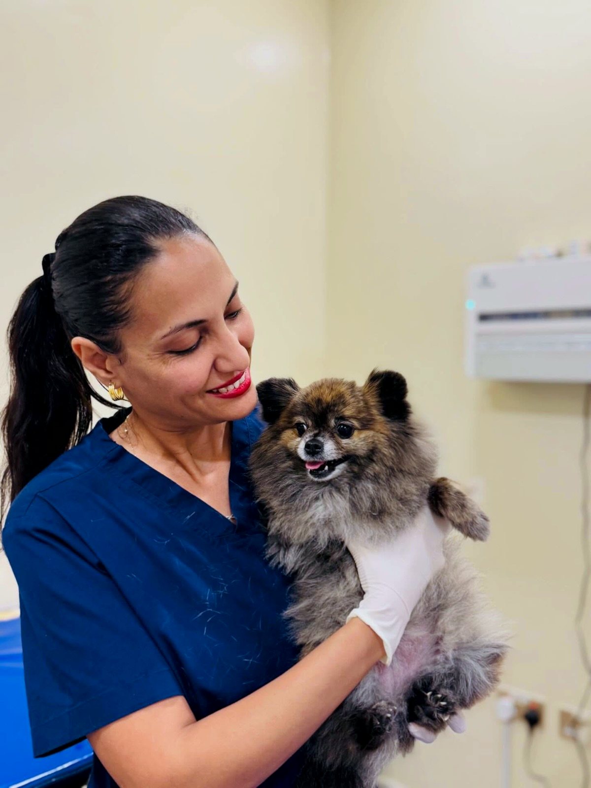 Veterinarian examining a fluffy Pomeranian during a preventive care check-up