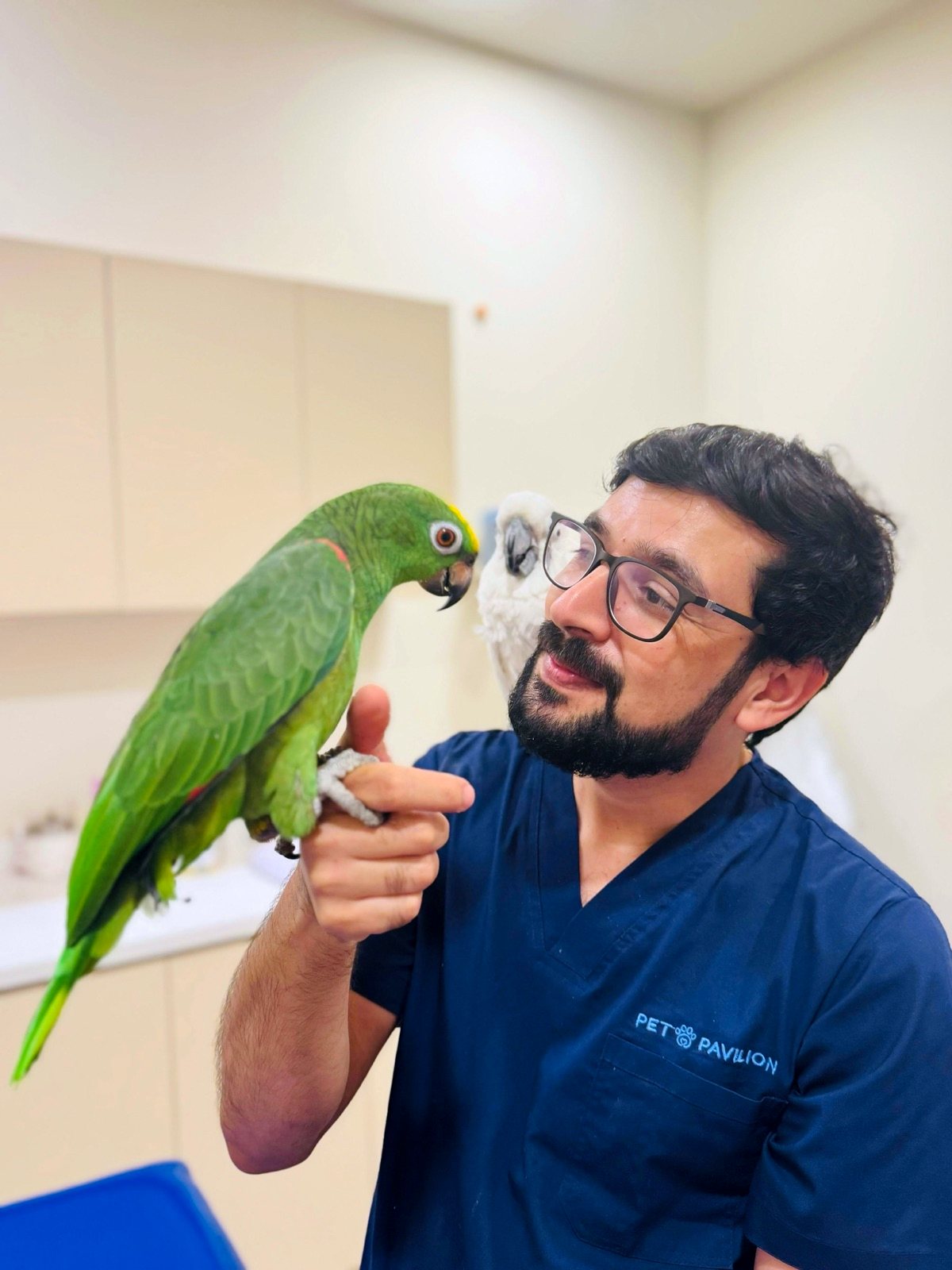 Veterinarian caring for a parrot and cockatoo at Pet Pavilion