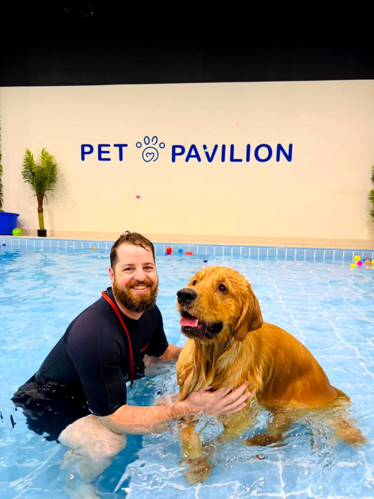 Golden retriever enjoying a swim session with a Pet Pavilion hydrotherapist
