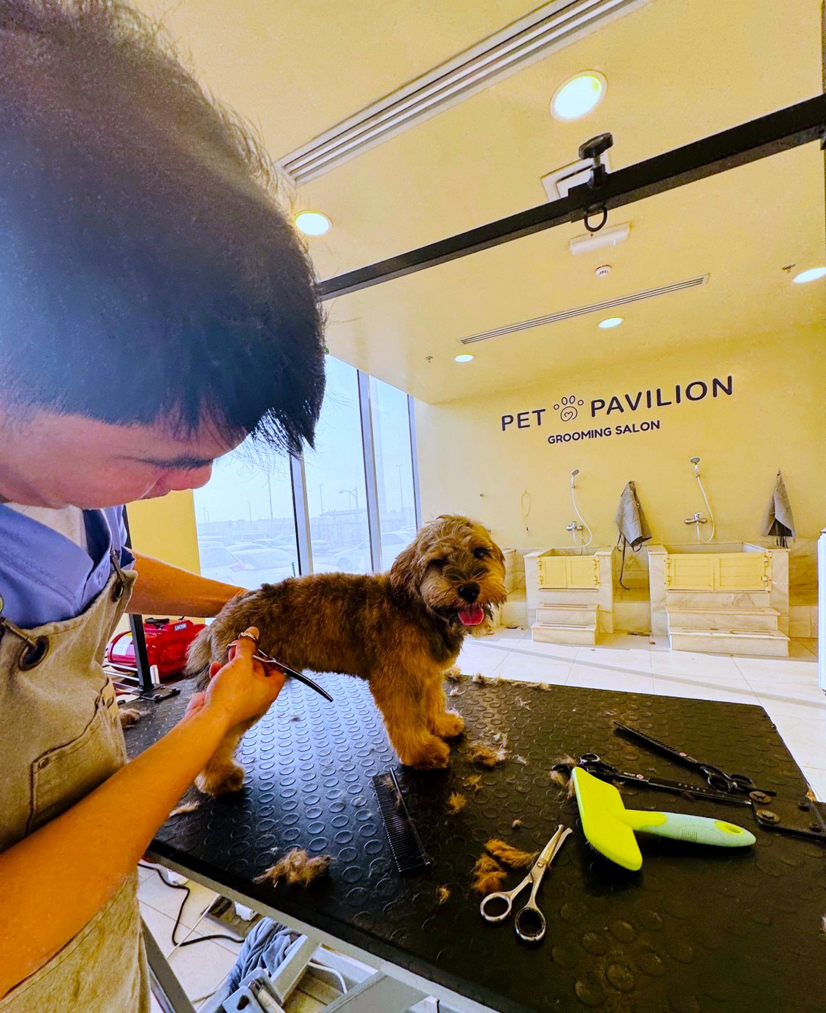 Groomer styling a happy dog at the Pet Pavilion grooming salon