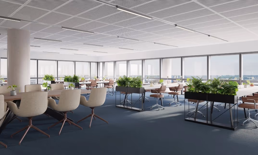 Enterprise suite.