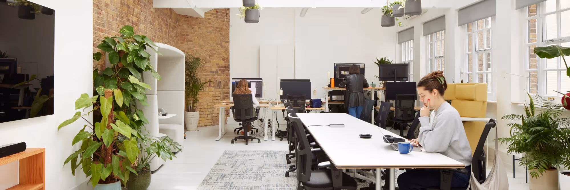 What Is an Enterprise Suite?