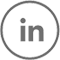 LinkkedIn icon