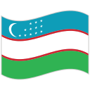 World flag