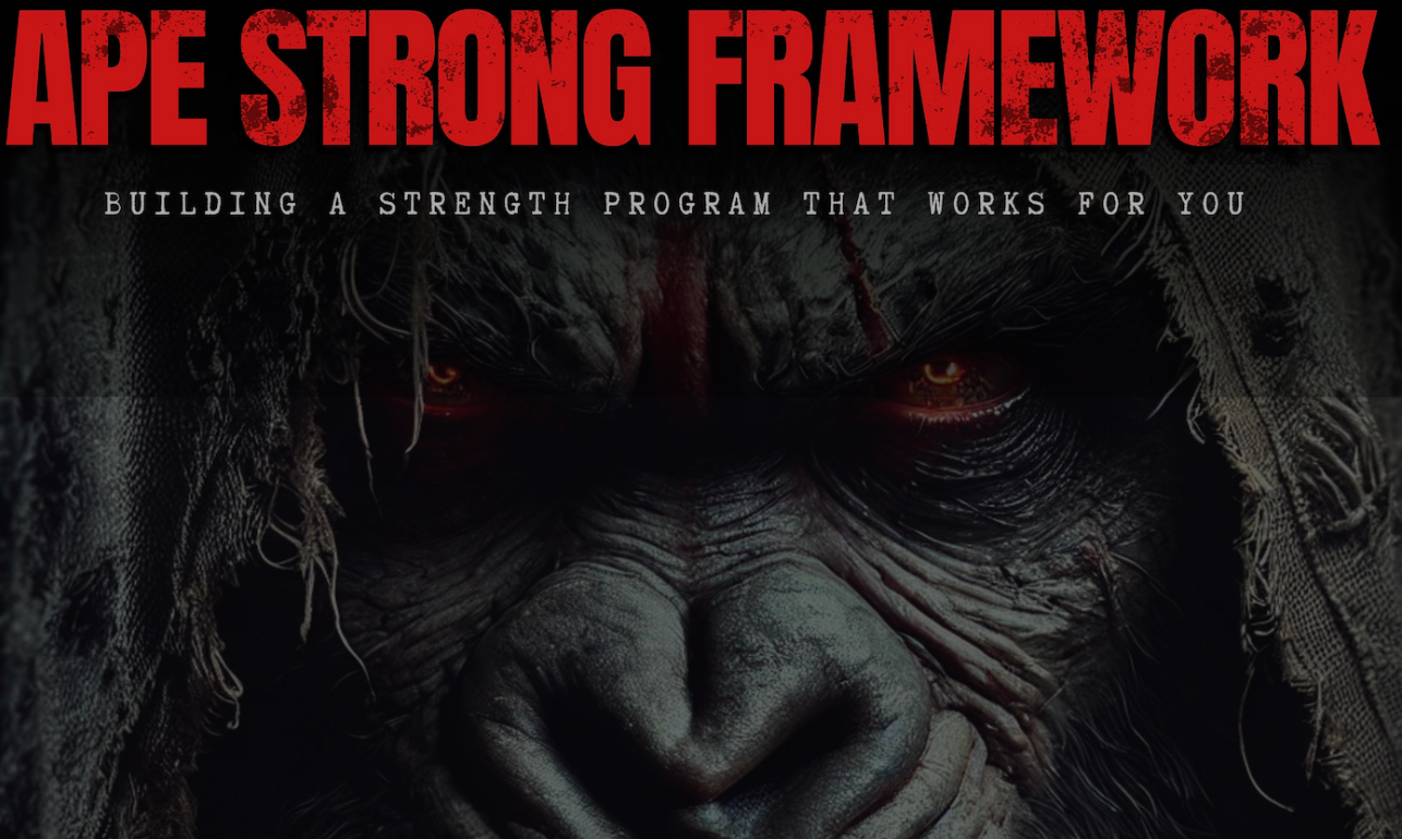 sandbag bjj strength online training course ape academy