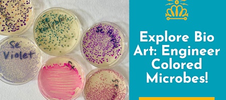 Explore Bio Art: Engineer Colored Microbes!