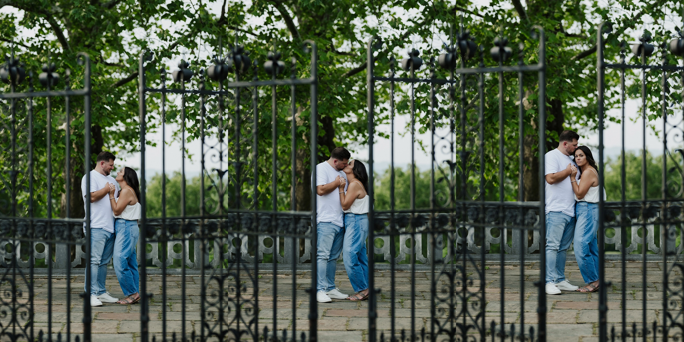 Steven Dalton Photography Pittsburgh Engagement Mellon Park