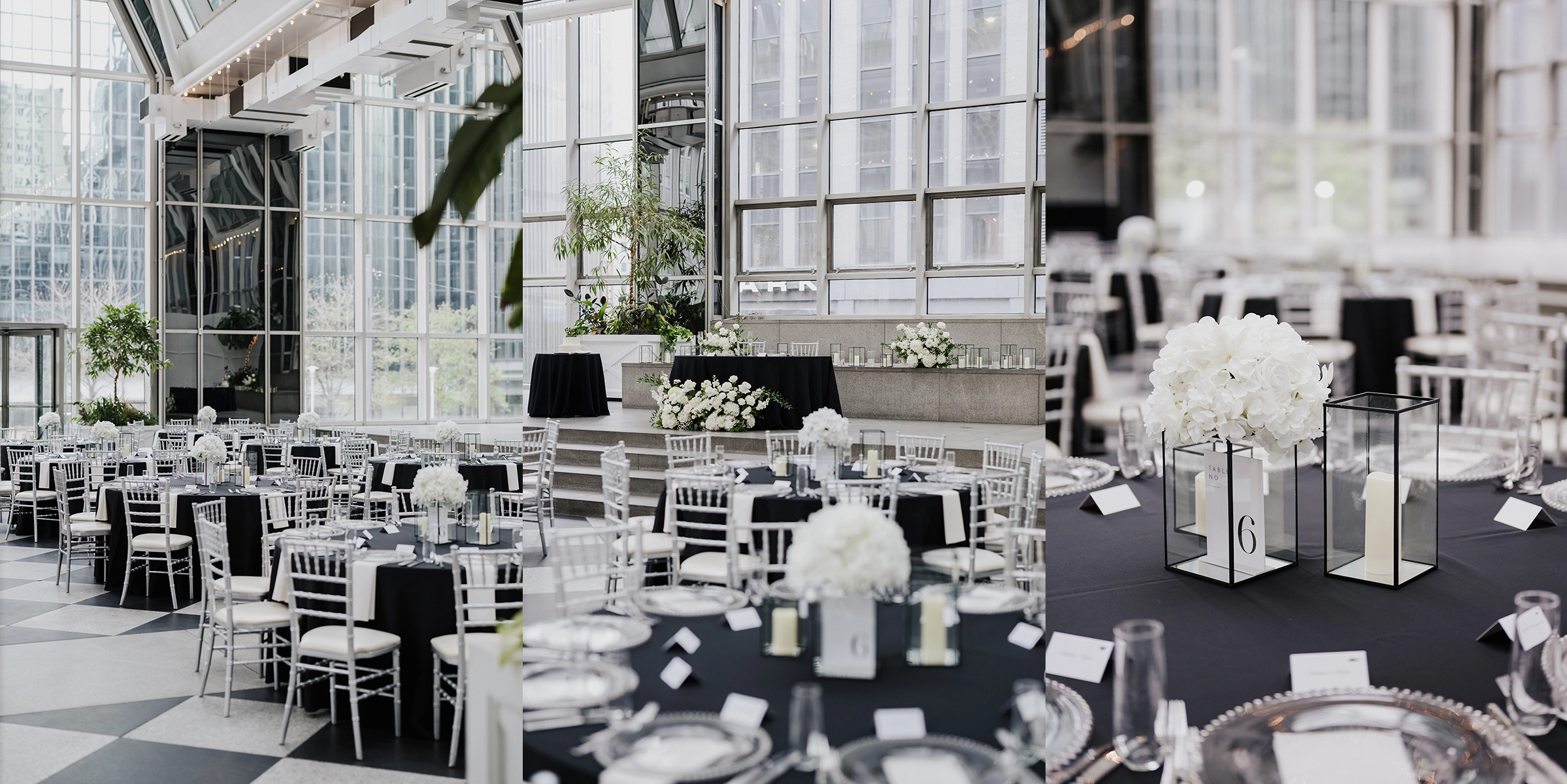 Steven Dalton Pittsburgh Photographer Wintergarden PPG Wedding