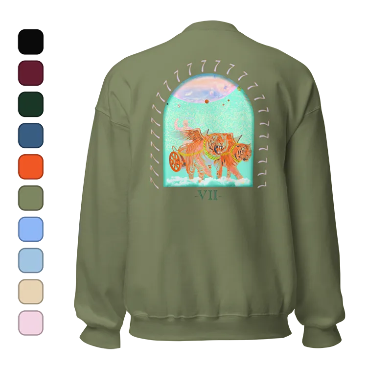 An overview of a chariot sweater